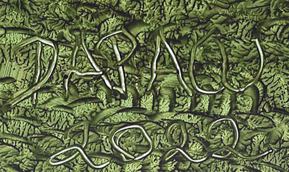 Artist Signature Multidimensional DAPACU Signs